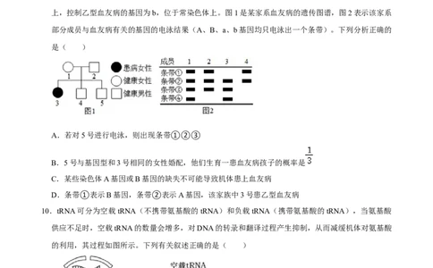 2025年菁优高考生物压轴训练8_中考押题2026《中考押题》系列（9科全套实时更新中）_2026版中考《菁优系列》趋势分析+押题密卷+抢分秘籍+模拟考试_0062025菁优高考解密汇编-生物_压轴篇