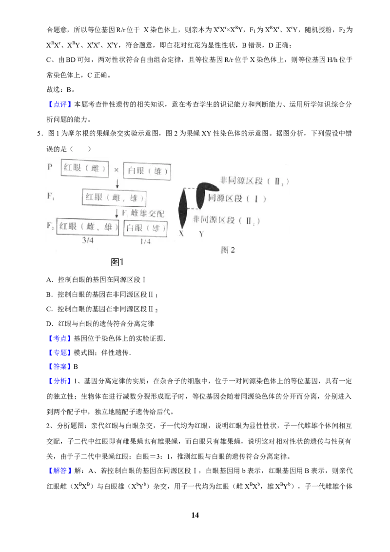 2025年菁优高考生物解密之遗传的细胞基础_中考押题2026《中考押题》系列（9科全套实时更新中）_2026版中考《菁优系列》趋势分析+押题密卷+抢分秘籍+模拟考试_考点篇