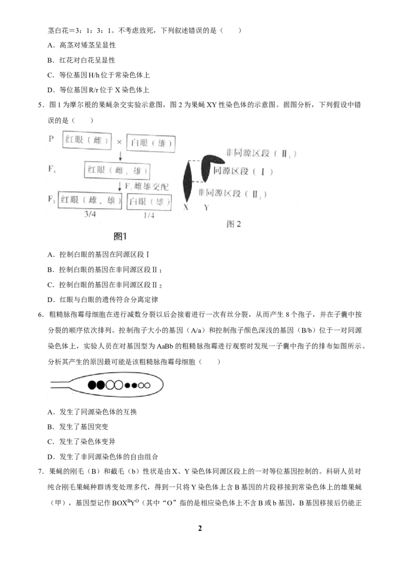 2025年菁优高考生物解密之遗传的细胞基础_中考押题2026《中考押题》系列（9科全套实时更新中）_2026版中考《菁优系列》趋势分析+押题密卷+抢分秘籍+模拟考试_考点篇