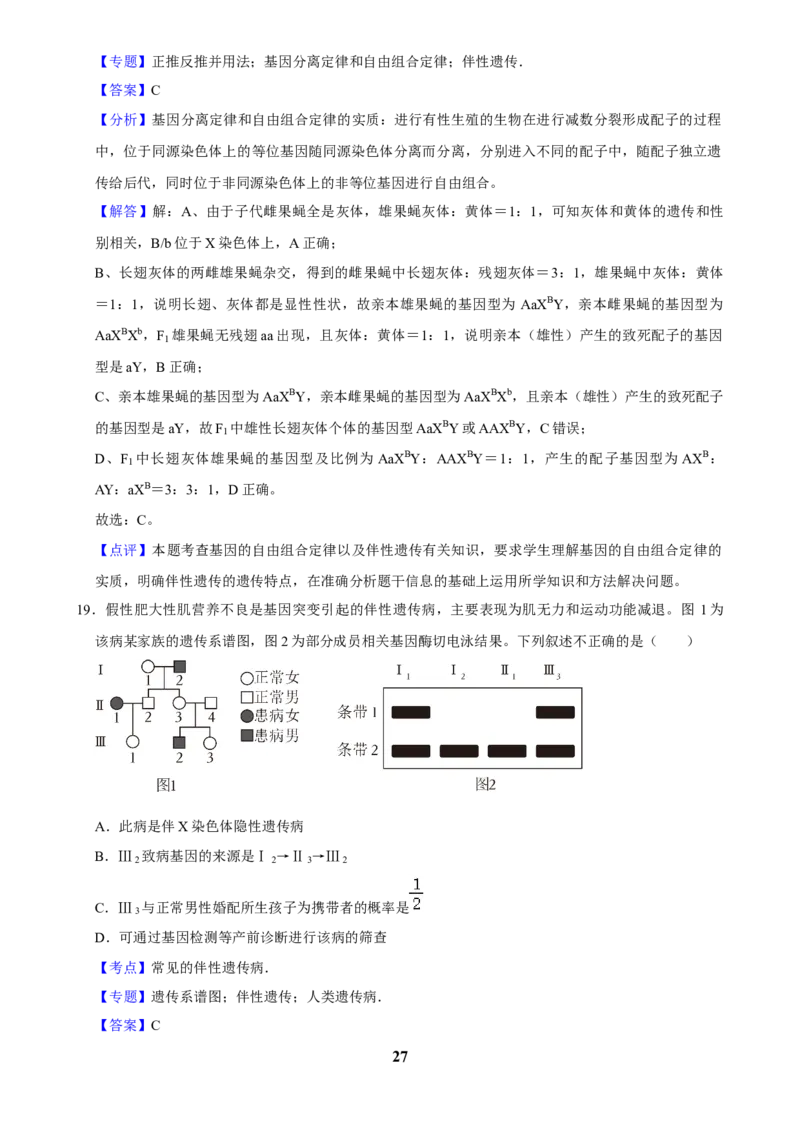 2025年菁优高考生物解密之遗传的细胞基础_中考押题2026《中考押题》系列（9科全套实时更新中）_2026版中考《菁优系列》趋势分析+押题密卷+抢分秘籍+模拟考试_考点篇