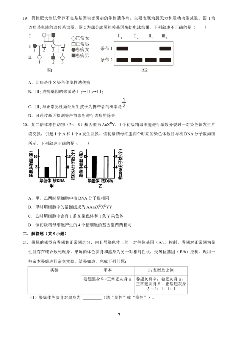 2025年菁优高考生物解密之遗传的细胞基础_中考押题2026《中考押题》系列（9科全套实时更新中）_2026版中考《菁优系列》趋势分析+押题密卷+抢分秘籍+模拟考试_考点篇