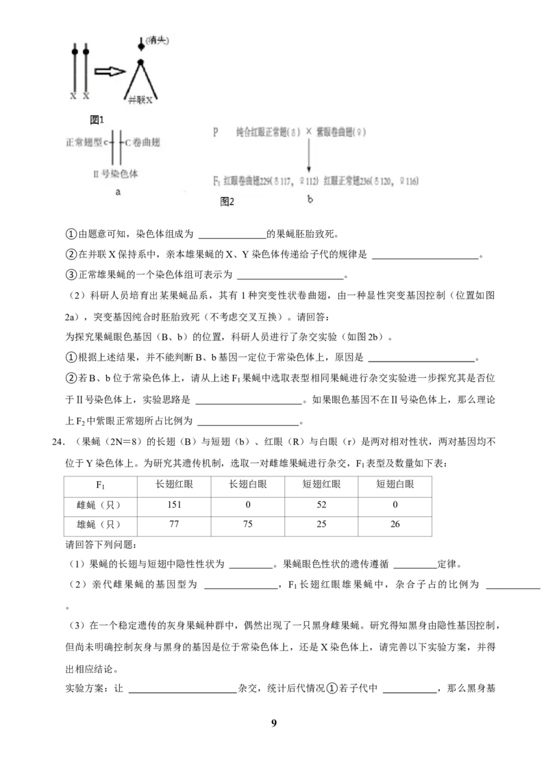 2025年菁优高考生物解密之遗传的细胞基础_中考押题2026《中考押题》系列（9科全套实时更新中）_2026版中考《菁优系列》趋势分析+押题密卷+抢分秘籍+模拟考试_考点篇