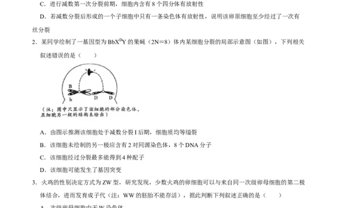 2025年菁优高考生物解密之遗传的细胞基础_中考押题2026《中考押题》系列（9科全套实时更新中）_2026版中考《菁优系列》趋势分析+押题密卷+抢分秘籍+模拟考试_考点篇