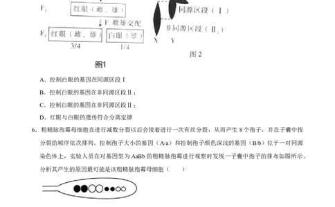 2025年菁优高考生物解密之遗传的细胞基础_中考押题2026《中考押题》系列（9科全套实时更新中）_2026版中考《菁优系列》趋势分析+押题密卷+抢分秘籍+模拟考试_考点篇
