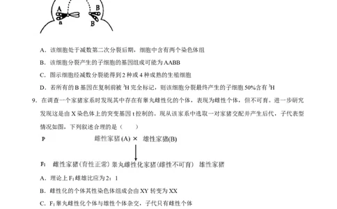 2025年菁优高考生物解密之遗传的细胞基础_中考押题2026《中考押题》系列（9科全套实时更新中）_2026版中考《菁优系列》趋势分析+押题密卷+抢分秘籍+模拟考试_考点篇