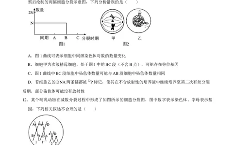 2025年菁优高考生物解密之遗传的细胞基础_中考押题2026《中考押题》系列（9科全套实时更新中）_2026版中考《菁优系列》趋势分析+押题密卷+抢分秘籍+模拟考试_考点篇