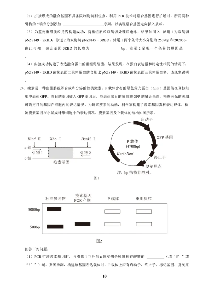 2025年菁优高考生物解密之基因工程_中考押题2026《中考押题》系列（9科全套实时更新中）_2026版中考《菁优系列》趋势分析+押题密卷+抢分秘籍+模拟考试_0062025菁优高考解密汇编-生物