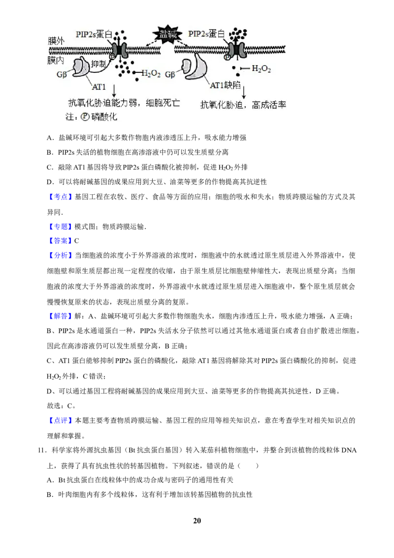 2025年菁优高考生物解密之基因工程_中考押题2026《中考押题》系列（9科全套实时更新中）_2026版中考《菁优系列》趋势分析+押题密卷+抢分秘籍+模拟考试_0062025菁优高考解密汇编-生物