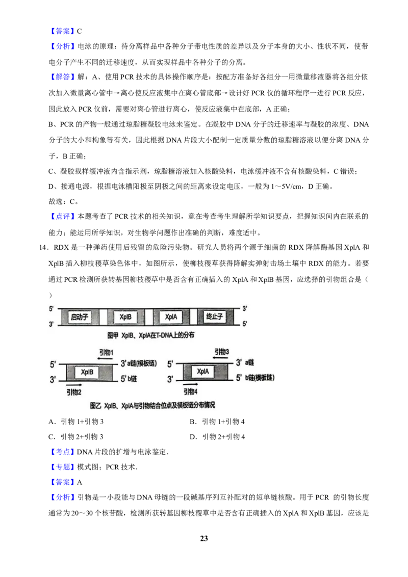 2025年菁优高考生物解密之基因工程_中考押题2026《中考押题》系列（9科全套实时更新中）_2026版中考《菁优系列》趋势分析+押题密卷+抢分秘籍+模拟考试_0062025菁优高考解密汇编-生物