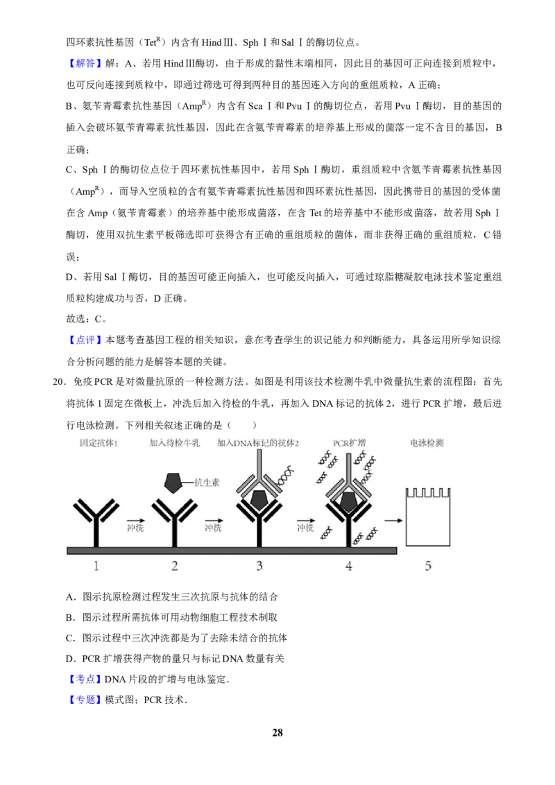 2025年菁优高考生物解密之基因工程_中考押题2026《中考押题》系列（9科全套实时更新中）_2026版中考《菁优系列》趋势分析+押题密卷+抢分秘籍+模拟考试_0062025菁优高考解密汇编-生物
