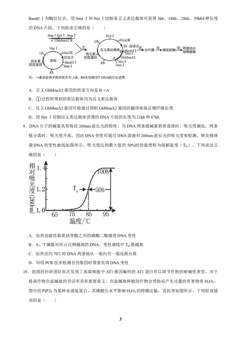 2025年菁优高考生物解密之基因工程_中考押题2026《中考押题》系列（9科全套实时更新中）_2026版中考《菁优系列》趋势分析+押题密卷+抢分秘籍+模拟考试_0062025菁优高考解密汇编-生物