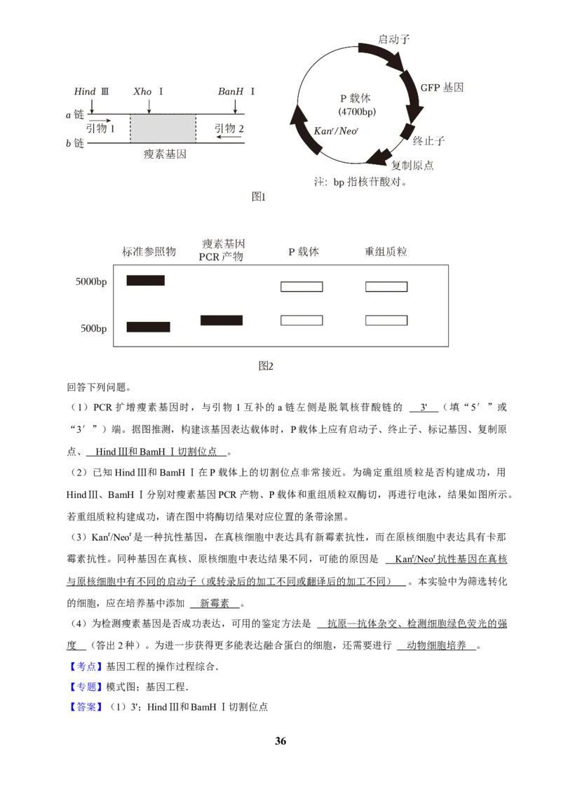 2025年菁优高考生物解密之基因工程_中考押题2026《中考押题》系列（9科全套实时更新中）_2026版中考《菁优系列》趋势分析+押题密卷+抢分秘籍+模拟考试_0062025菁优高考解密汇编-生物