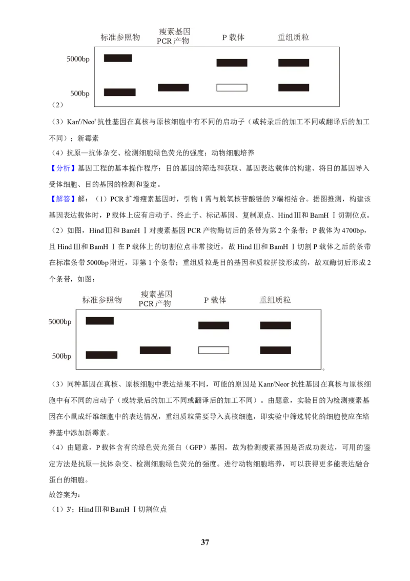 2025年菁优高考生物解密之基因工程_中考押题2026《中考押题》系列（9科全套实时更新中）_2026版中考《菁优系列》趋势分析+押题密卷+抢分秘籍+模拟考试_0062025菁优高考解密汇编-生物