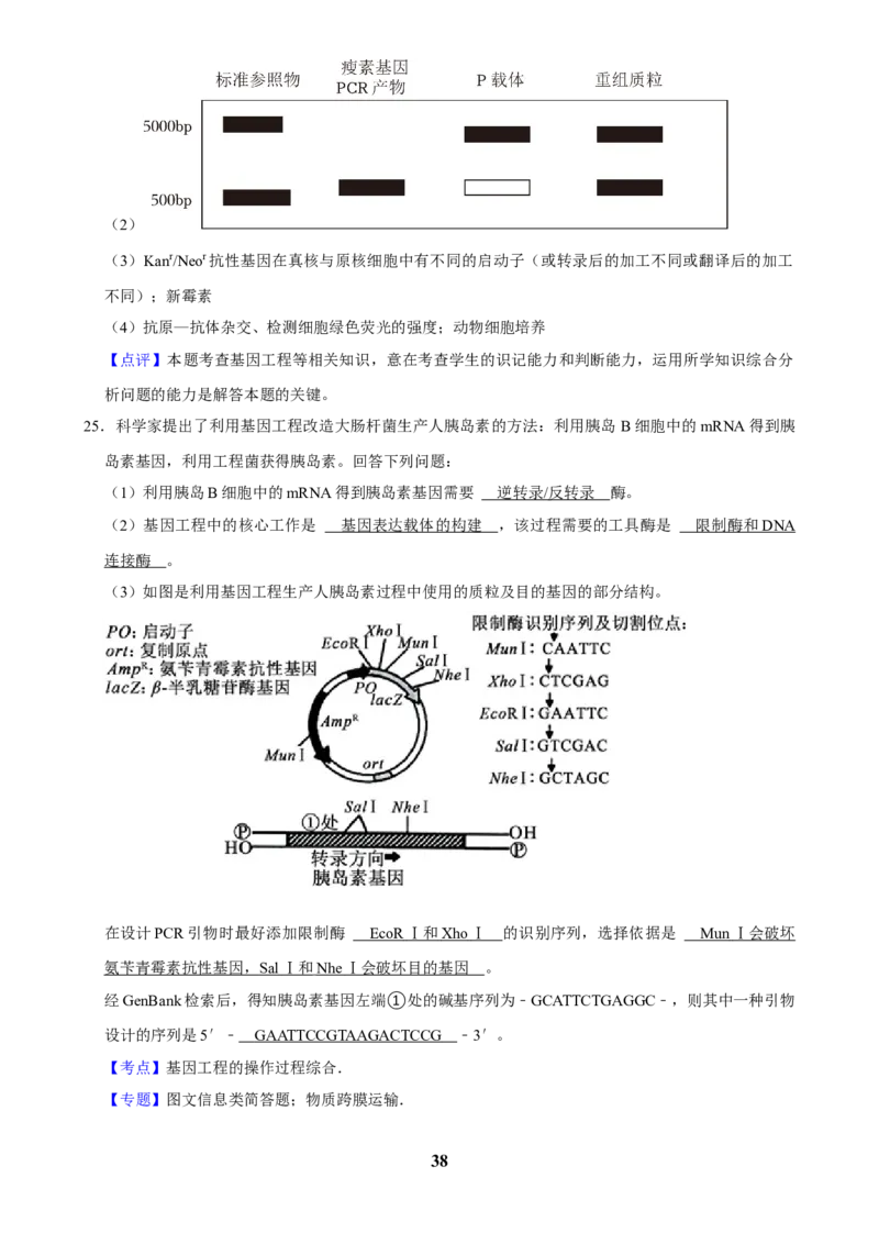 2025年菁优高考生物解密之基因工程_中考押题2026《中考押题》系列（9科全套实时更新中）_2026版中考《菁优系列》趋势分析+押题密卷+抢分秘籍+模拟考试_0062025菁优高考解密汇编-生物