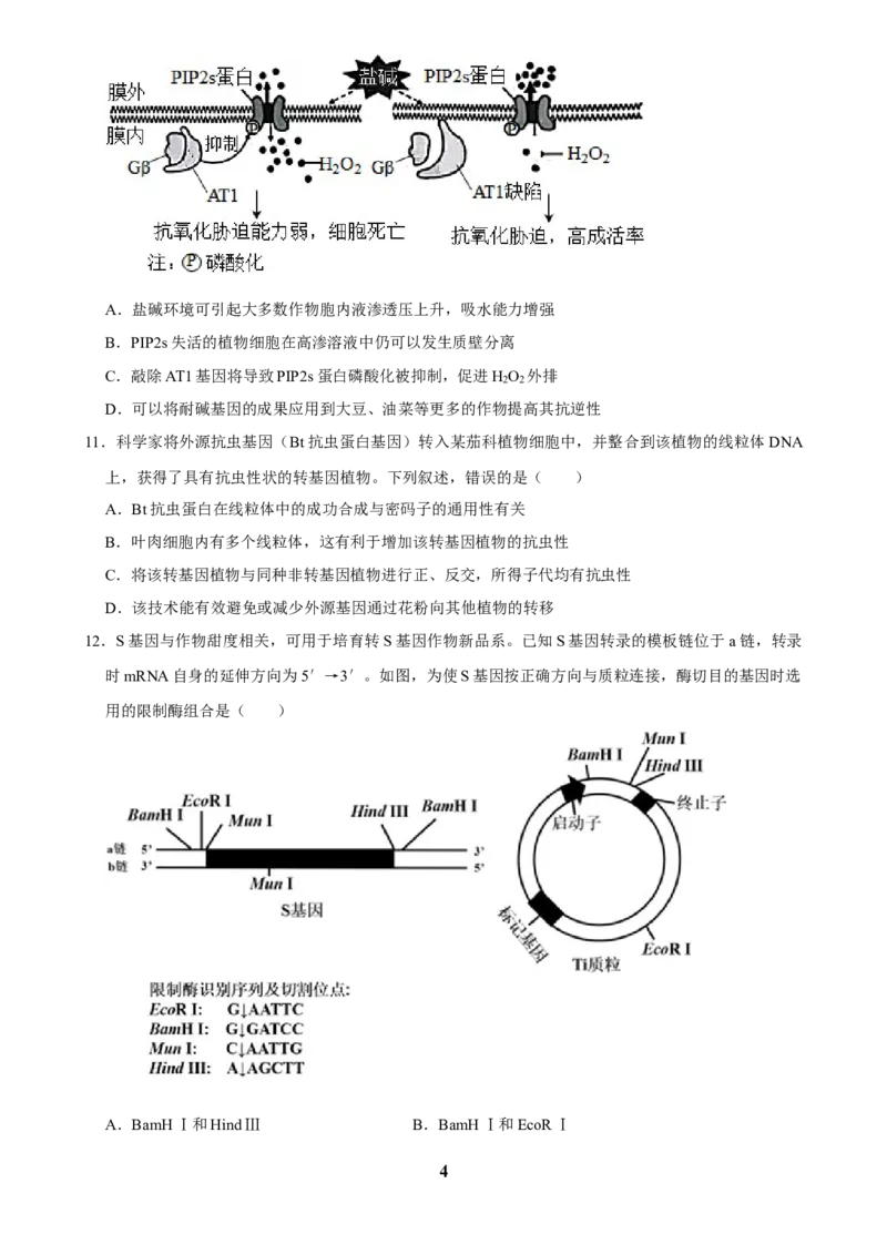 2025年菁优高考生物解密之基因工程_中考押题2026《中考押题》系列（9科全套实时更新中）_2026版中考《菁优系列》趋势分析+押题密卷+抢分秘籍+模拟考试_0062025菁优高考解密汇编-生物