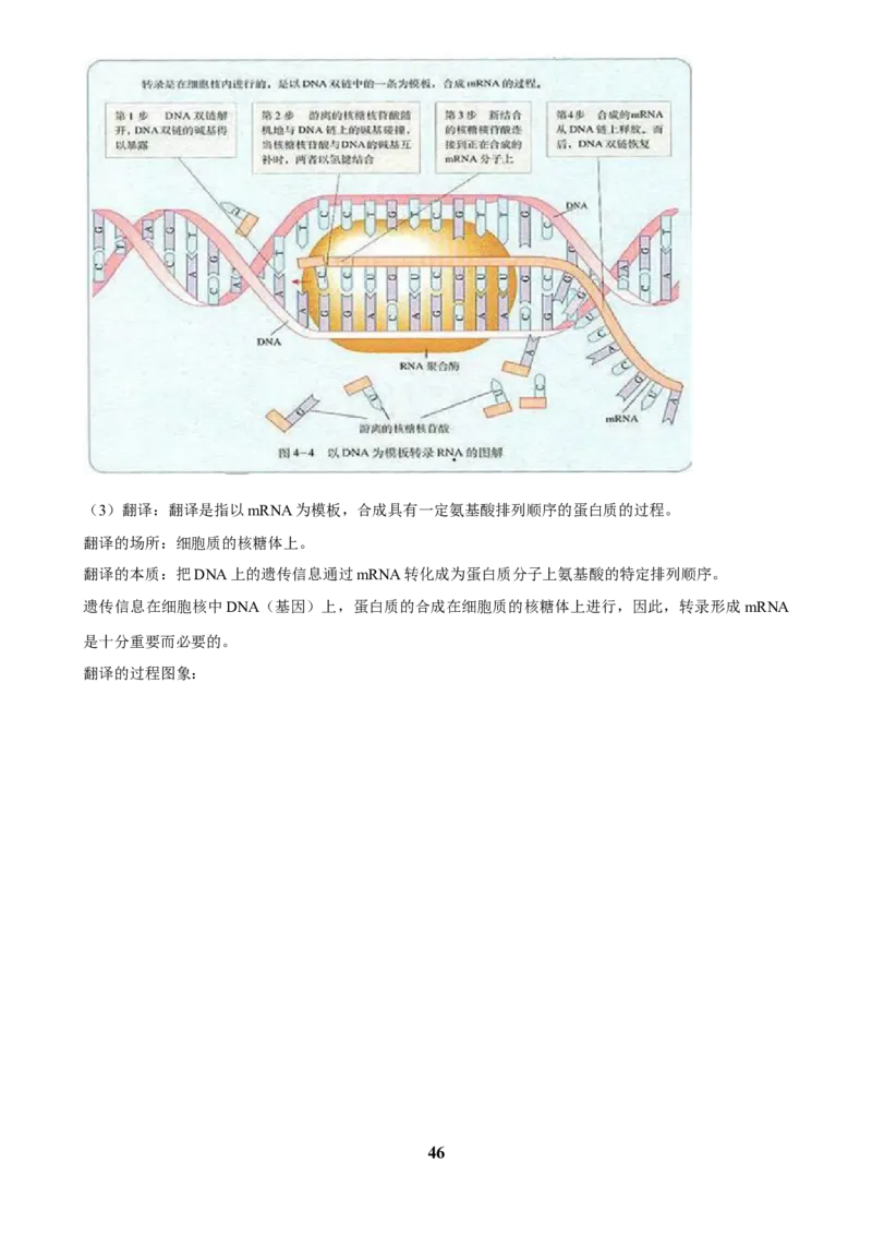 2025年菁优高考生物解密之基因工程_中考押题2026《中考押题》系列（9科全套实时更新中）_2026版中考《菁优系列》趋势分析+押题密卷+抢分秘籍+模拟考试_0062025菁优高考解密汇编-生物