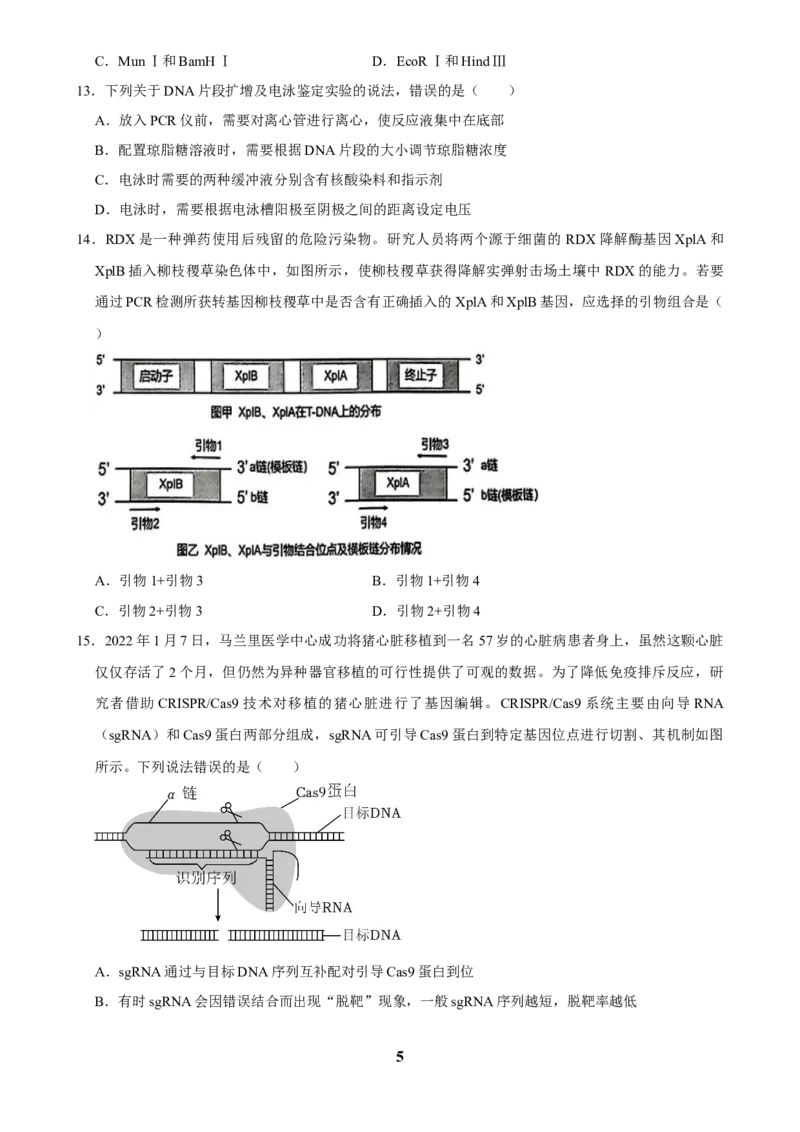 2025年菁优高考生物解密之基因工程_中考押题2026《中考押题》系列（9科全套实时更新中）_2026版中考《菁优系列》趋势分析+押题密卷+抢分秘籍+模拟考试_0062025菁优高考解密汇编-生物