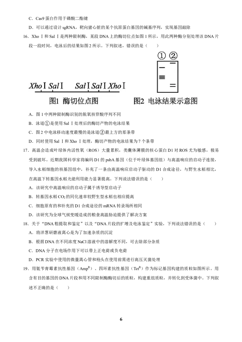 2025年菁优高考生物解密之基因工程_中考押题2026《中考押题》系列（9科全套实时更新中）_2026版中考《菁优系列》趋势分析+押题密卷+抢分秘籍+模拟考试_0062025菁优高考解密汇编-生物