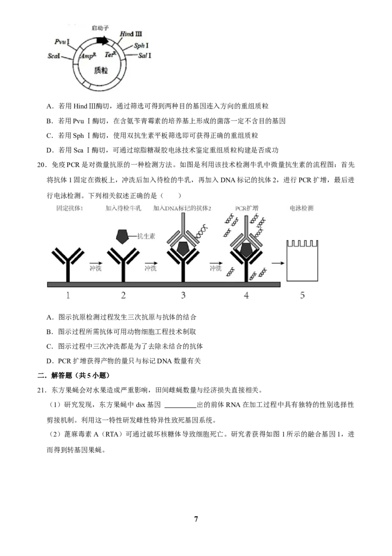 2025年菁优高考生物解密之基因工程_中考押题2026《中考押题》系列（9科全套实时更新中）_2026版中考《菁优系列》趋势分析+押题密卷+抢分秘籍+模拟考试_0062025菁优高考解密汇编-生物