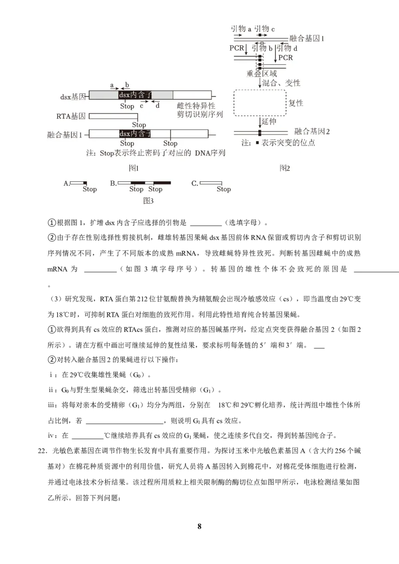 2025年菁优高考生物解密之基因工程_中考押题2026《中考押题》系列（9科全套实时更新中）_2026版中考《菁优系列》趋势分析+押题密卷+抢分秘籍+模拟考试_0062025菁优高考解密汇编-生物