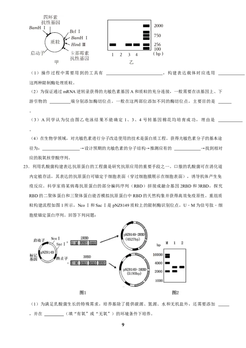 2025年菁优高考生物解密之基因工程_中考押题2026《中考押题》系列（9科全套实时更新中）_2026版中考《菁优系列》趋势分析+押题密卷+抢分秘籍+模拟考试_0062025菁优高考解密汇编-生物