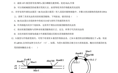 2025年菁优高考生物解密之基因工程_中考押题2026《中考押题》系列（9科全套实时更新中）_2026版中考《菁优系列》趋势分析+押题密卷+抢分秘籍+模拟考试_0062025菁优高考解密汇编-生物