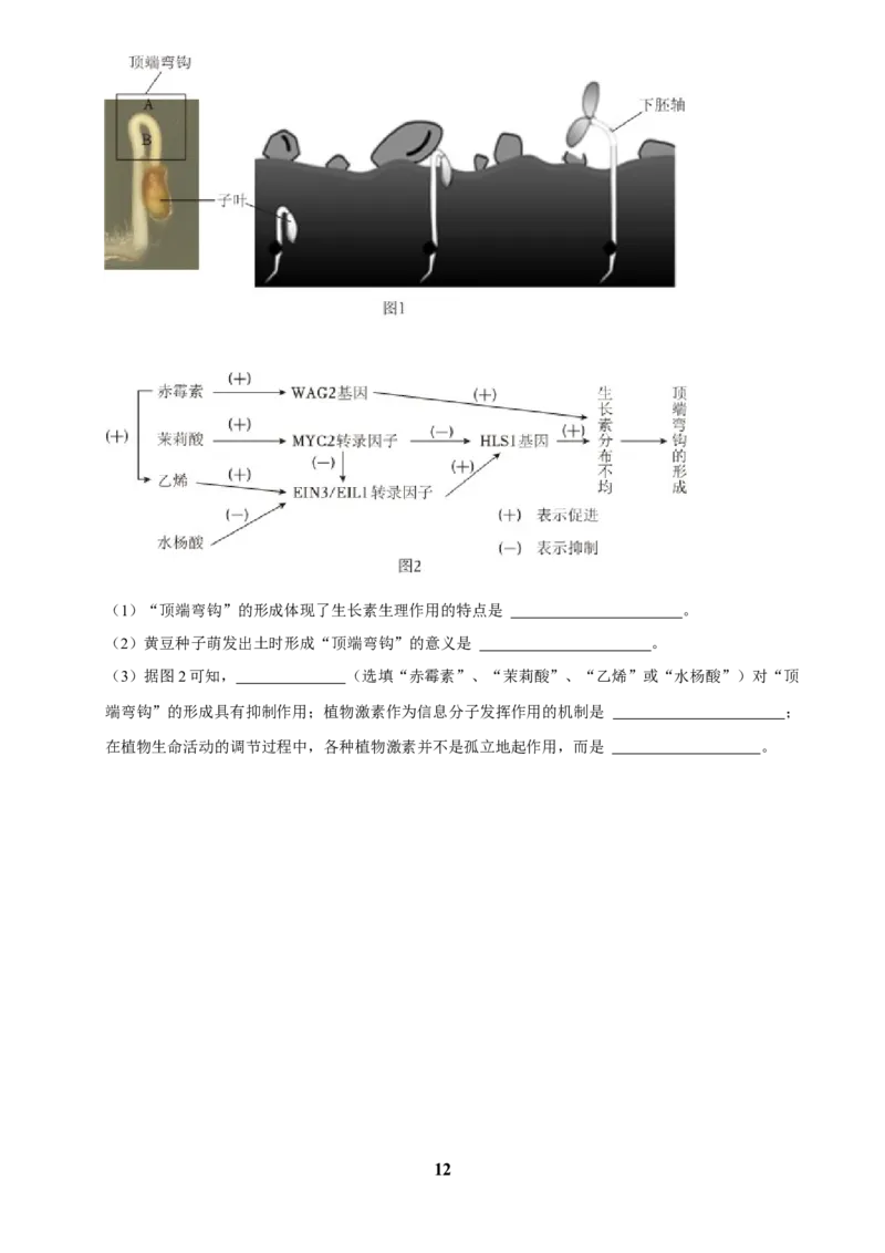 2025年菁优高考生物解密之植物生命活动的调节_中考押题2026《中考押题》系列（9科全套实时更新中）_2026版中考《菁优系列》趋势分析+押题密卷+抢分秘籍+模拟考试_考点篇