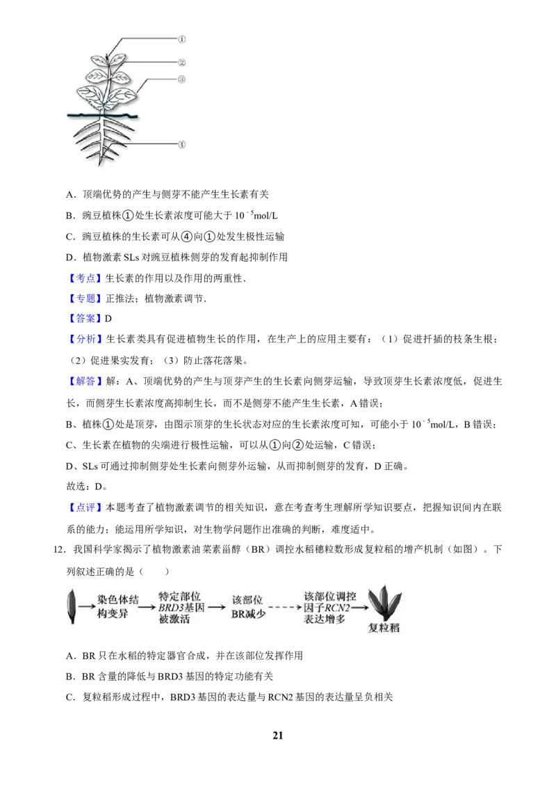 2025年菁优高考生物解密之植物生命活动的调节_中考押题2026《中考押题》系列（9科全套实时更新中）_2026版中考《菁优系列》趋势分析+押题密卷+抢分秘籍+模拟考试_考点篇