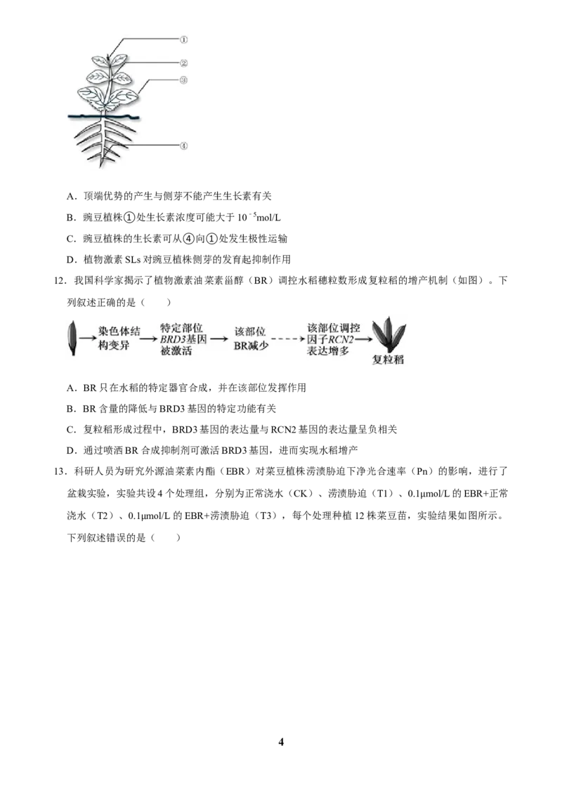 2025年菁优高考生物解密之植物生命活动的调节_中考押题2026《中考押题》系列（9科全套实时更新中）_2026版中考《菁优系列》趋势分析+押题密卷+抢分秘籍+模拟考试_考点篇