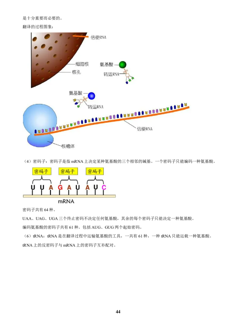2025年菁优高考生物解密之植物生命活动的调节_中考押题2026《中考押题》系列（9科全套实时更新中）_2026版中考《菁优系列》趋势分析+押题密卷+抢分秘籍+模拟考试_考点篇