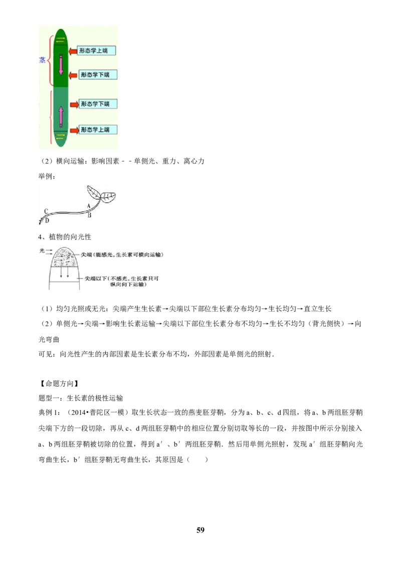 2025年菁优高考生物解密之植物生命活动的调节_中考押题2026《中考押题》系列（9科全套实时更新中）_2026版中考《菁优系列》趋势分析+押题密卷+抢分秘籍+模拟考试_考点篇