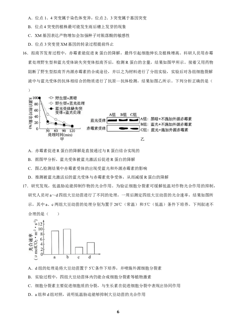 2025年菁优高考生物解密之植物生命活动的调节_中考押题2026《中考押题》系列（9科全套实时更新中）_2026版中考《菁优系列》趋势分析+押题密卷+抢分秘籍+模拟考试_考点篇