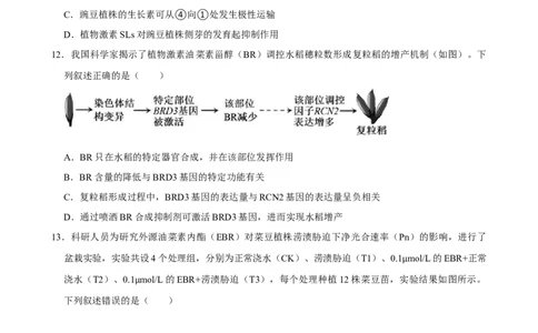 2025年菁优高考生物解密之植物生命活动的调节_中考押题2026《中考押题》系列（9科全套实时更新中）_2026版中考《菁优系列》趋势分析+押题密卷+抢分秘籍+模拟考试_考点篇