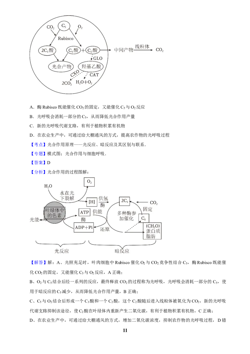 2025年菁优高考生物解密之细胞代谢(1)_中考押题2026《中考押题》系列（9科全套实时更新中）_2026版中考《菁优系列》趋势分析+押题密卷+抢分秘籍+模拟考试_考点篇