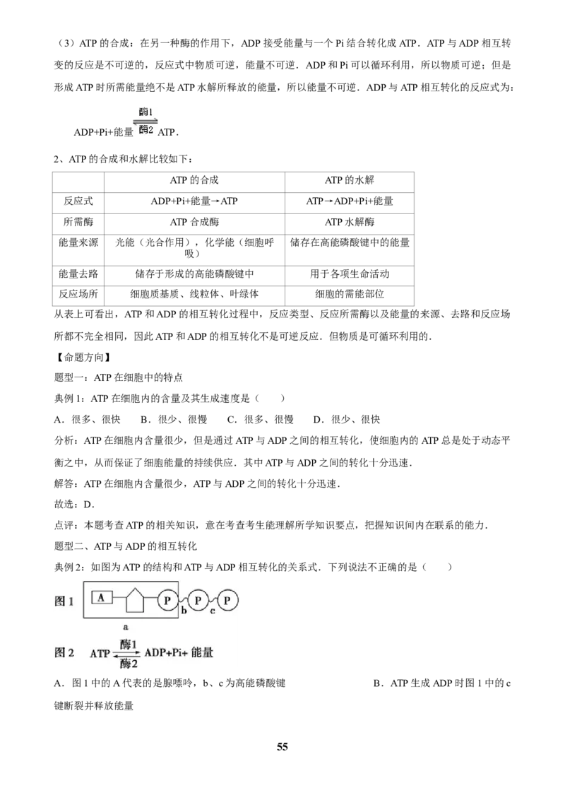 2025年菁优高考生物解密之细胞代谢(1)_中考押题2026《中考押题》系列（9科全套实时更新中）_2026版中考《菁优系列》趋势分析+押题密卷+抢分秘籍+模拟考试_考点篇