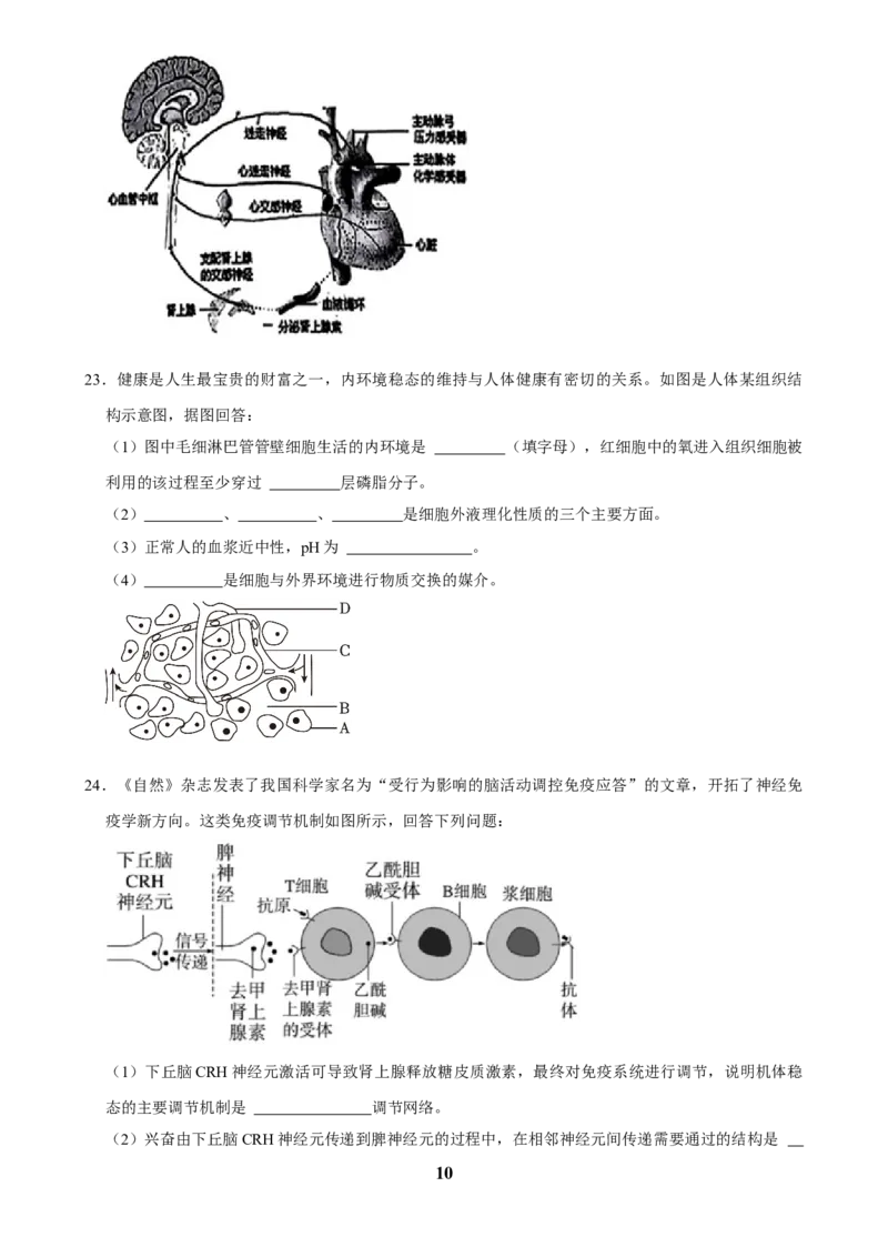 2025年菁优高考生物解密之人体内环境与稳态_中考押题2026《中考押题》系列（9科全套实时更新中）_2026版中考《菁优系列》趋势分析+押题密卷+抢分秘籍+模拟考试_考点篇