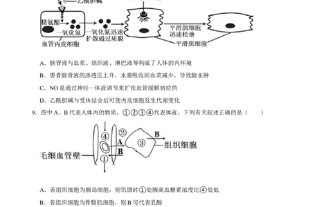 2025年菁优高考生物解密之人体内环境与稳态_中考押题2026《中考押题》系列（9科全套实时更新中）_2026版中考《菁优系列》趋势分析+押题密卷+抢分秘籍+模拟考试_考点篇