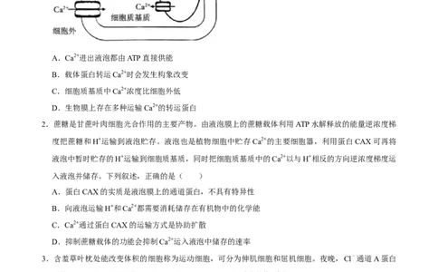 2025年菁优高考生物解密之细胞的物质运输_中考押题2026《中考押题》系列（9科全套实时更新中）_2026版中考《菁优系列》趋势分析+押题密卷+抢分秘籍+模拟考试_考点篇