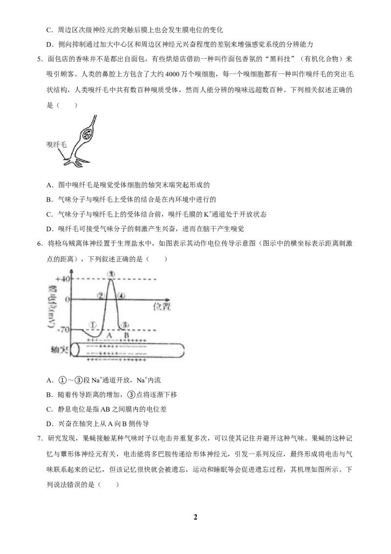 2025年菁优高考生物解密之神经调节_中考押题2026《中考押题》系列（9科全套实时更新中）_2026版中考《菁优系列》趋势分析+押题密卷+抢分秘籍+模拟考试_0062025菁优高考解密汇编-生物