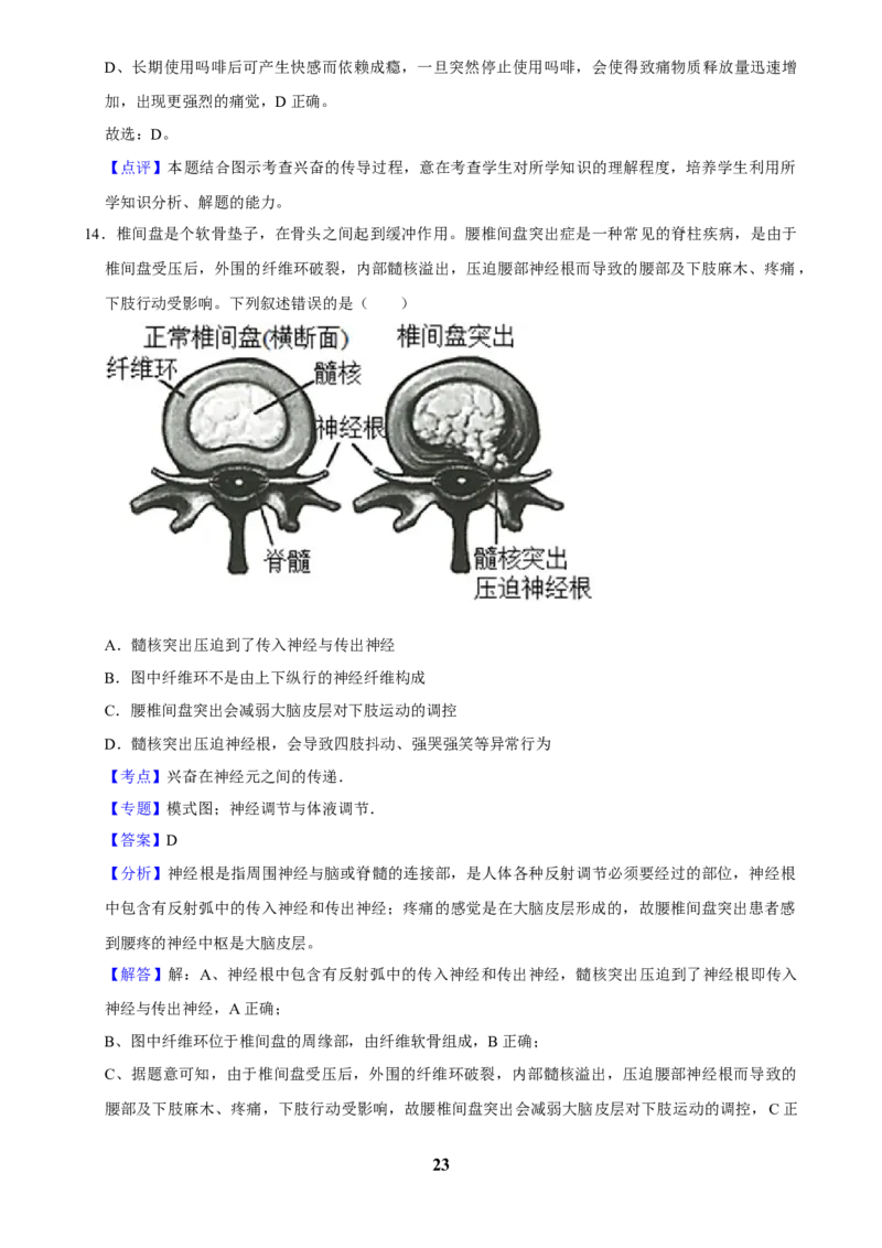 2025年菁优高考生物解密之神经调节_中考押题2026《中考押题》系列（9科全套实时更新中）_2026版中考《菁优系列》趋势分析+押题密卷+抢分秘籍+模拟考试_0062025菁优高考解密汇编-生物