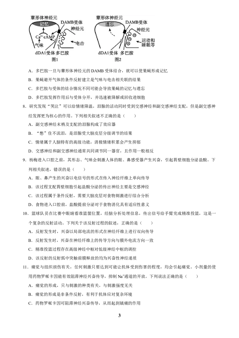 2025年菁优高考生物解密之神经调节_中考押题2026《中考押题》系列（9科全套实时更新中）_2026版中考《菁优系列》趋势分析+押题密卷+抢分秘籍+模拟考试_0062025菁优高考解密汇编-生物