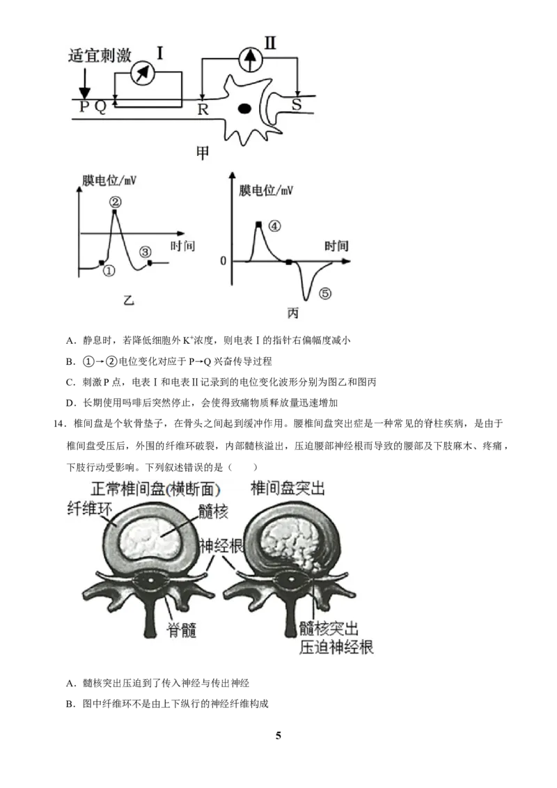 2025年菁优高考生物解密之神经调节_中考押题2026《中考押题》系列（9科全套实时更新中）_2026版中考《菁优系列》趋势分析+押题密卷+抢分秘籍+模拟考试_0062025菁优高考解密汇编-生物