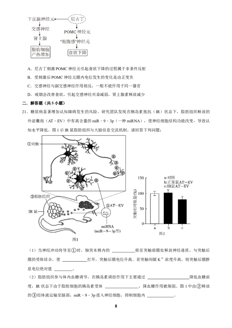 2025年菁优高考生物解密之神经调节_中考押题2026《中考押题》系列（9科全套实时更新中）_2026版中考《菁优系列》趋势分析+押题密卷+抢分秘籍+模拟考试_0062025菁优高考解密汇编-生物