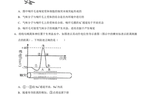 2025年菁优高考生物解密之神经调节_中考押题2026《中考押题》系列（9科全套实时更新中）_2026版中考《菁优系列》趋势分析+押题密卷+抢分秘籍+模拟考试_0062025菁优高考解密汇编-生物