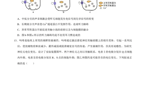 2025年菁优高考生物解密之神经调节_中考押题2026《中考押题》系列（9科全套实时更新中）_2026版中考《菁优系列》趋势分析+押题密卷+抢分秘籍+模拟考试_0062025菁优高考解密汇编-生物