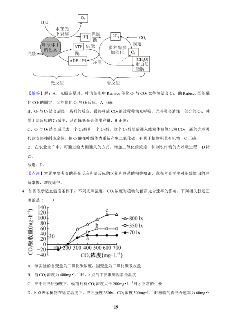 2025年菁优高考生物压轴训练6_中考押题2026《中考押题》系列（9科全套实时更新中）_2026版中考《菁优系列》趋势分析+押题密卷+抢分秘籍+模拟考试_0062025菁优高考解密汇编-生物_压轴篇