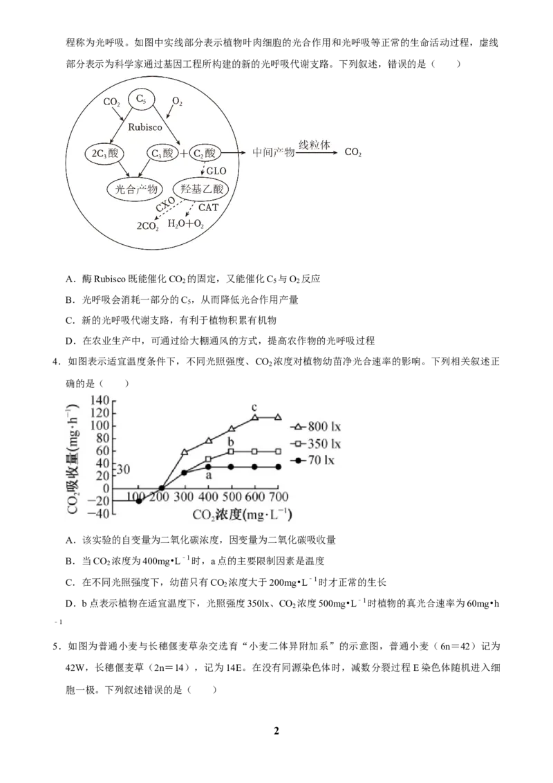 2025年菁优高考生物压轴训练6_中考押题2026《中考押题》系列（9科全套实时更新中）_2026版中考《菁优系列》趋势分析+押题密卷+抢分秘籍+模拟考试_0062025菁优高考解密汇编-生物_压轴篇