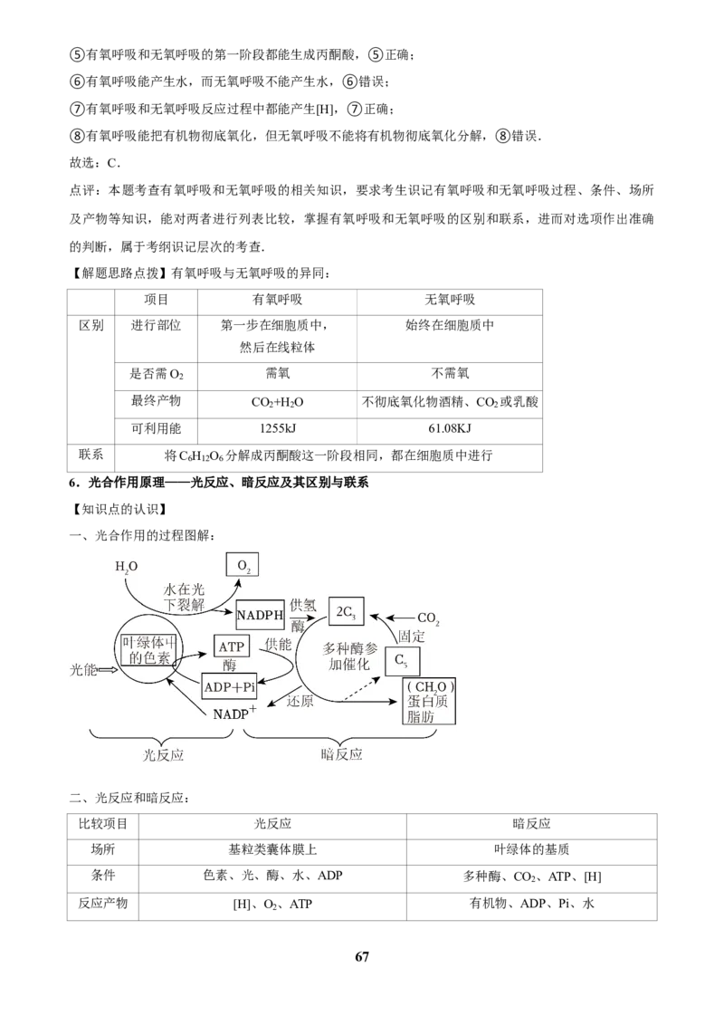 2025年菁优高考生物压轴训练6_中考押题2026《中考押题》系列（9科全套实时更新中）_2026版中考《菁优系列》趋势分析+押题密卷+抢分秘籍+模拟考试_0062025菁优高考解密汇编-生物_压轴篇