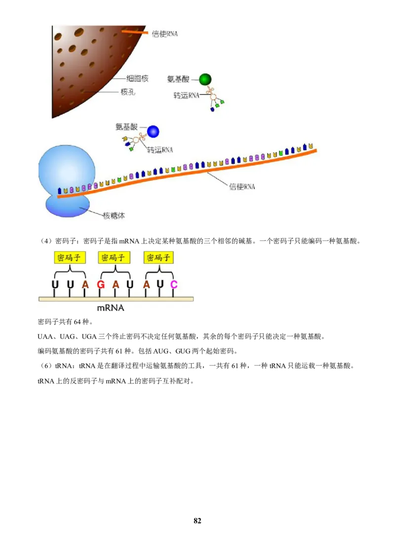 2025年菁优高考生物压轴训练6_中考押题2026《中考押题》系列（9科全套实时更新中）_2026版中考《菁优系列》趋势分析+押题密卷+抢分秘籍+模拟考试_0062025菁优高考解密汇编-生物_压轴篇