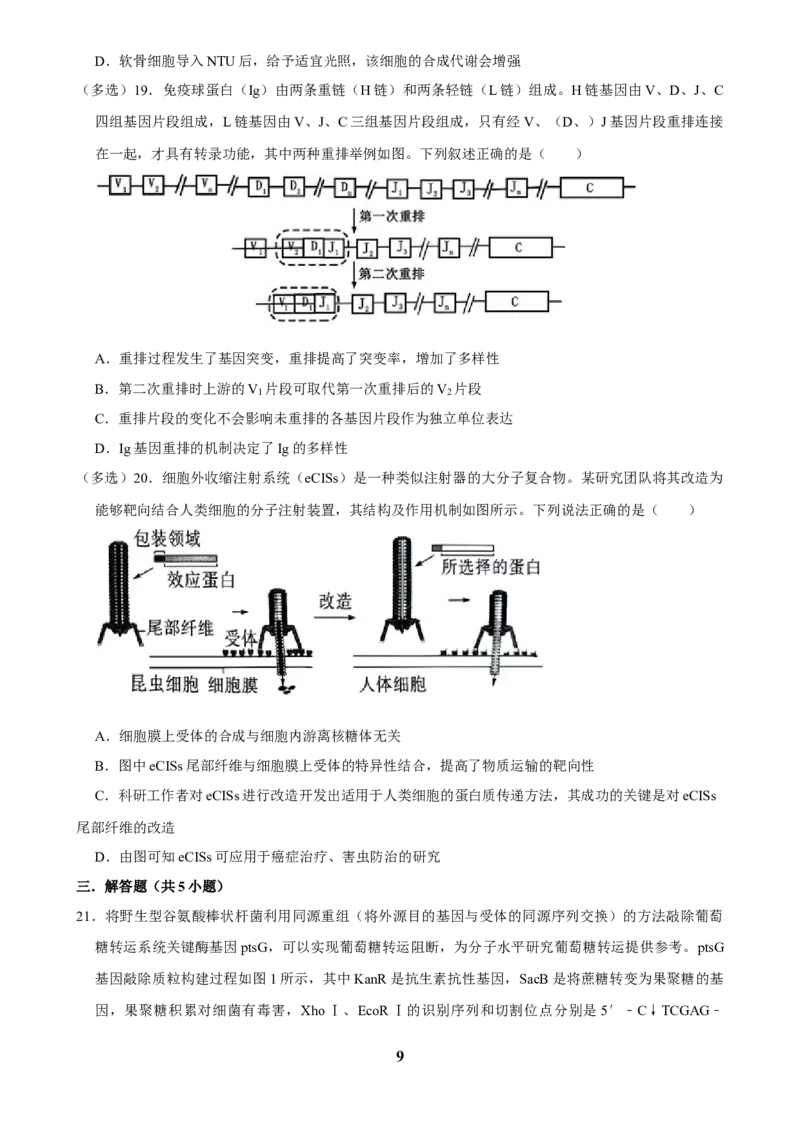 2025年菁优高考生物压轴训练6_中考押题2026《中考押题》系列（9科全套实时更新中）_2026版中考《菁优系列》趋势分析+押题密卷+抢分秘籍+模拟考试_0062025菁优高考解密汇编-生物_压轴篇